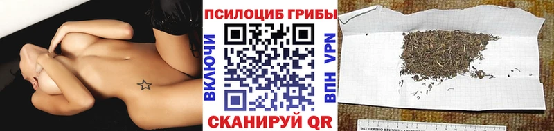 где продают наркотики  Плёс  Галлюциногенные грибы MAGIC MUSHROOMS 